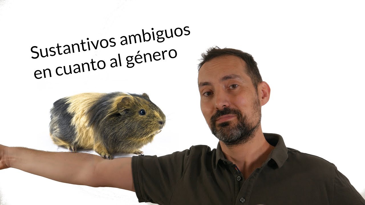 Sustantivos ambiguos en cuanto al género