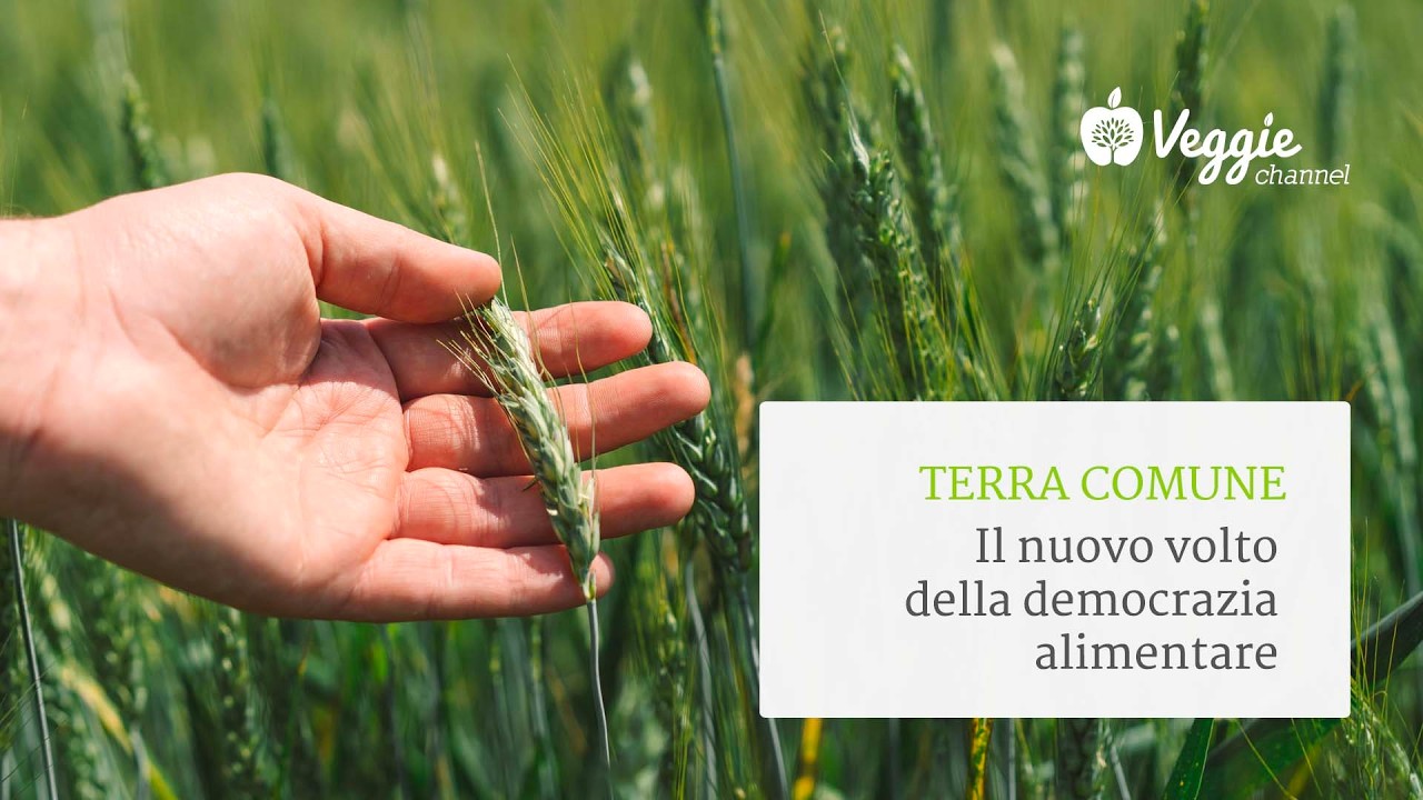 Terra Comune: il nuovo volto della democrazia alimentare