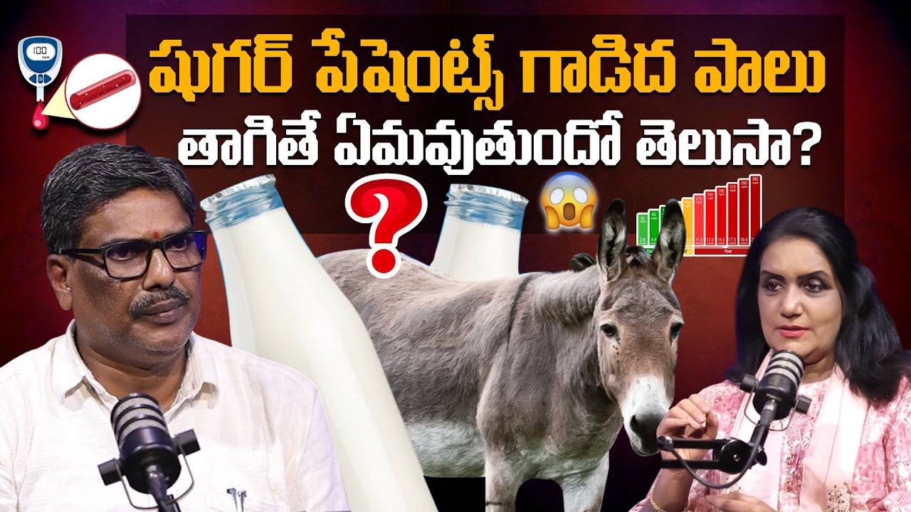 షుగర్ పేషెంట్స్ గాడిద పాలు తాగితే ఏమవుతుందో తెలుసా? Can Sugar Patients Drink Donkey Milk | SumanTV