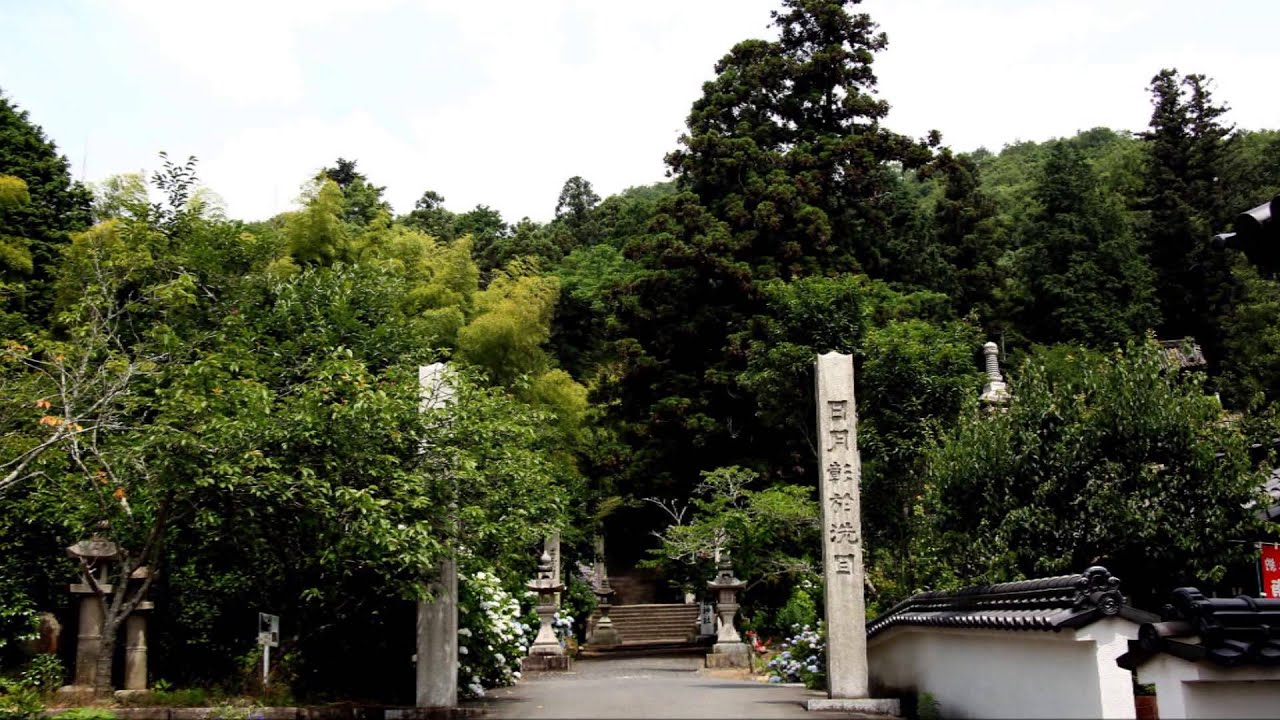 The water lily in Jinguji Temple 2014
