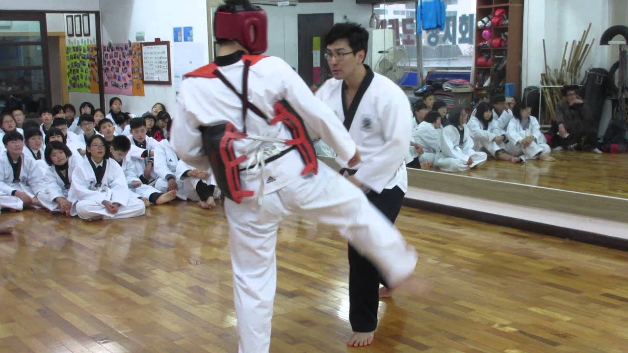 Taekwondo Poomsae Bunhae For Self Defese By Master Jeong