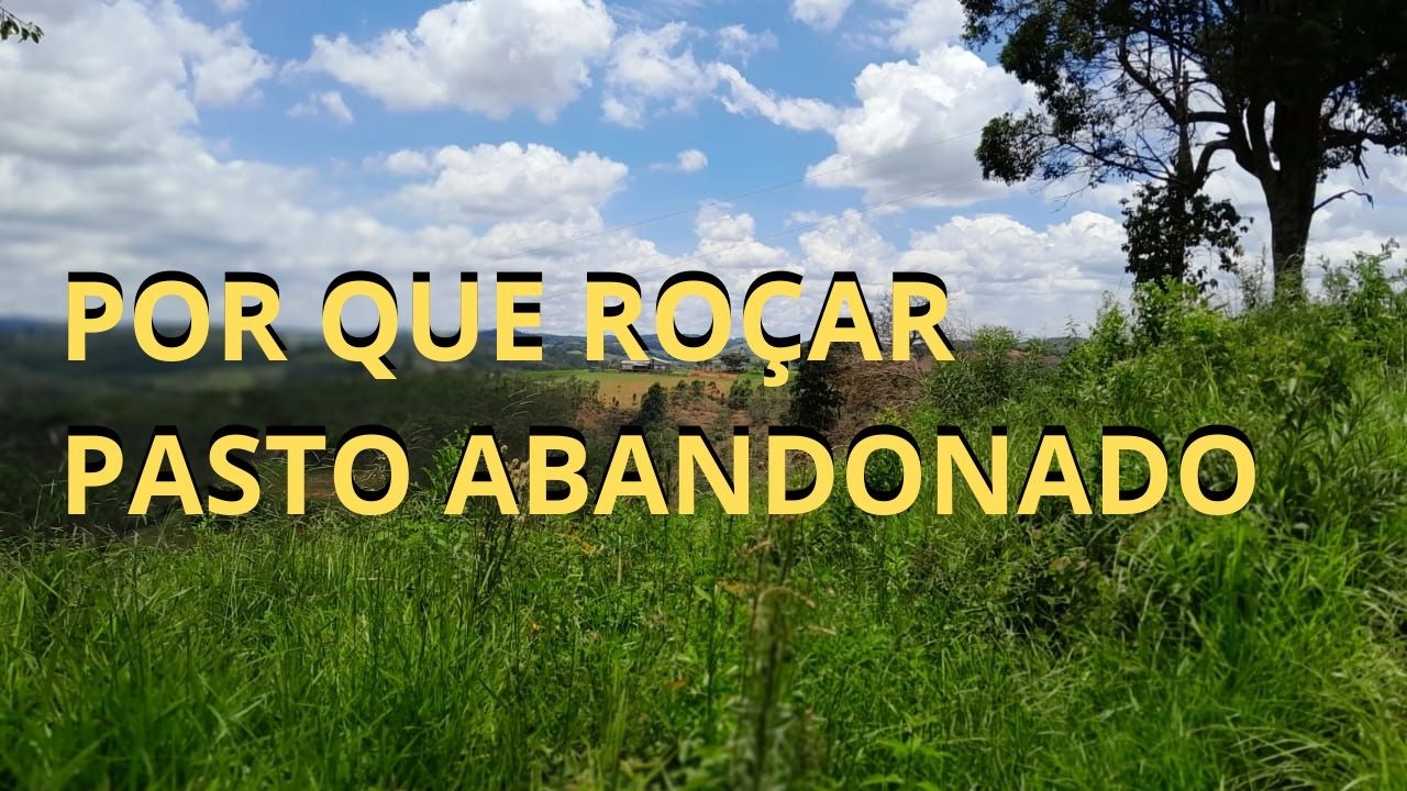 Ro&ccedil;ar pasto que ficou muito alto?