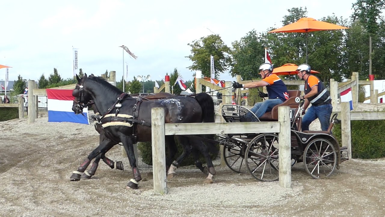 VREUGDENHIL JR Ton, NED, FEI WCH Pairs, Kronenberg NL, Marathon Obs 7, 11 09 2021