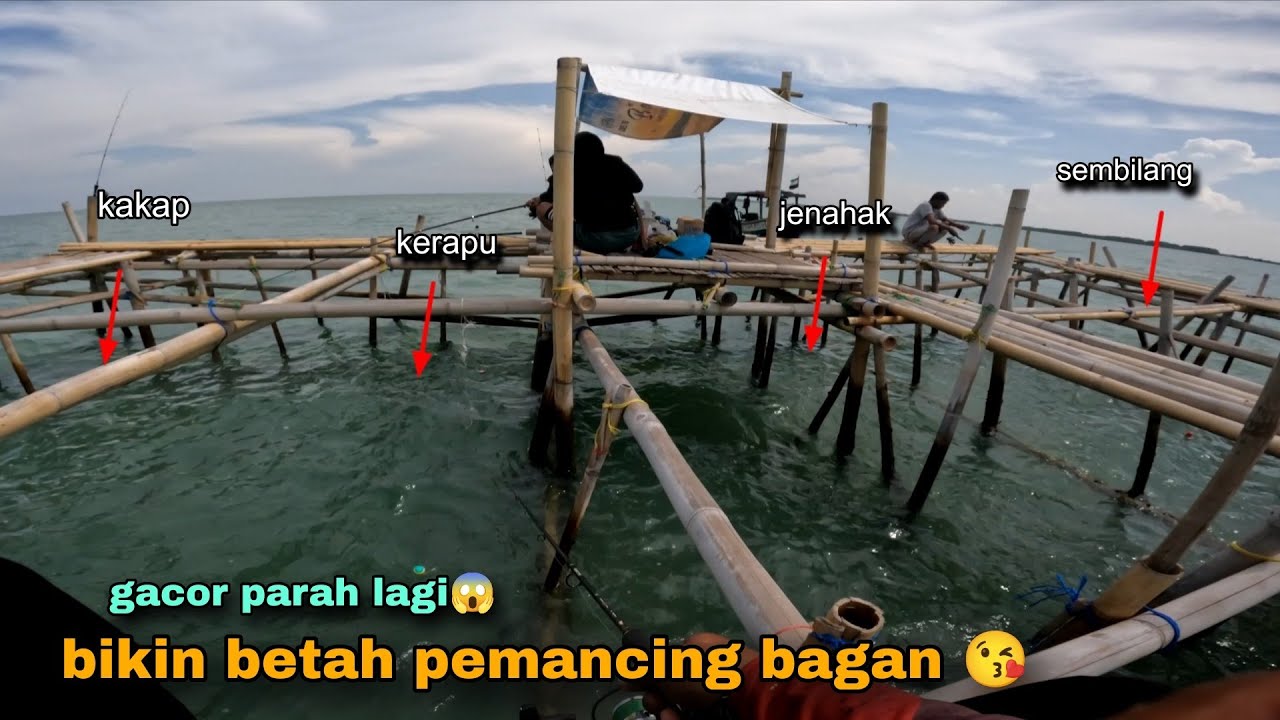 Pemancing mana gak betah liat bagan full rumpun kaya begini 