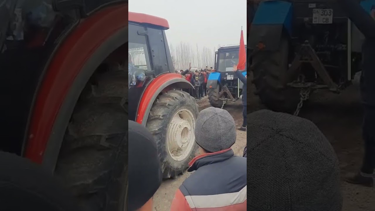 Yto lx954 vs Mtz 892.2 #892#mtz #yto#lx954#zoomilion#rs #vs #плуг #трактор #синитрактор