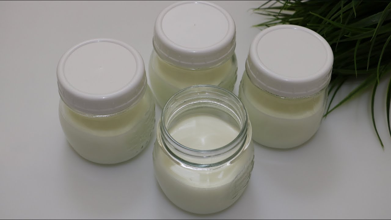 How to Make Yogurt for Baby, Toddler & Kids - Make Yogurt at home from Scratch | Healthy Baby Food