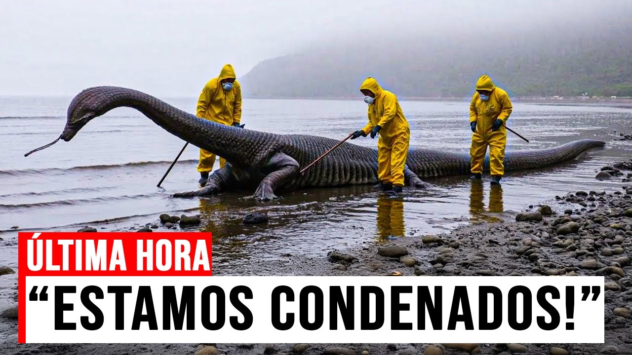 MISTÉRIO de Loch Ness DESVENDADO – A descoberta científica que está CHOCANDO o mundo!