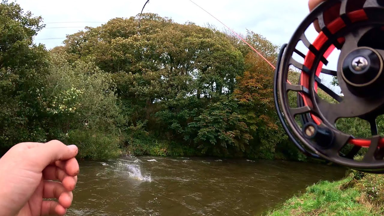 Worming for SALMON in CUMBRIA UK | Its a BEAUTY😁 | 4k
