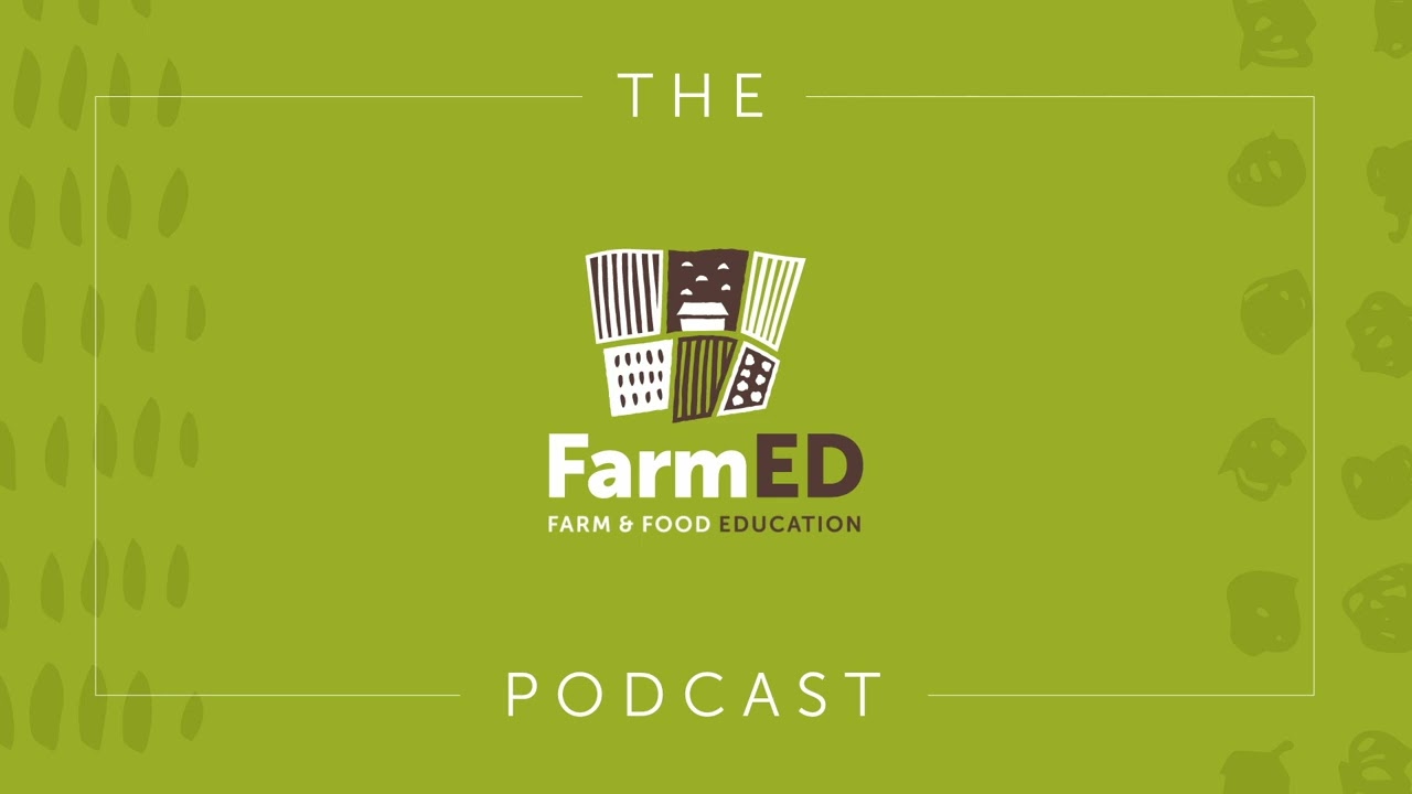Introduction to the OOOOBY Food Hub with Pete Russell