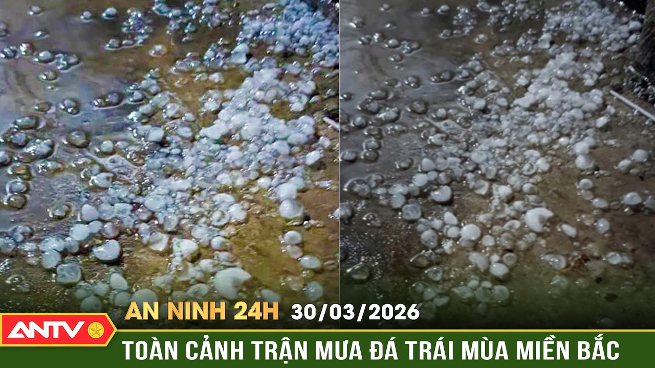 An ninh 24h ng&agrave;y 30/3:To&agrave;n cảnh mưa đ&aacute;, d&ocirc;ng lốc khiến 7 nh&agrave; bị sập, gần 4.200 nh&agrave; bị tốc m&aacute;i | ANTV