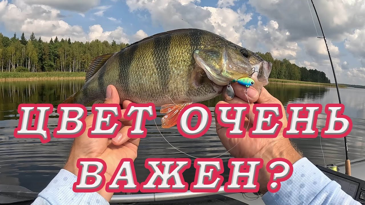 Цвет Тейл-спиннера который ловит ЛЮБУЮ РЫБУ у всех! ОДИН ЦВЕТ Лучше всех !