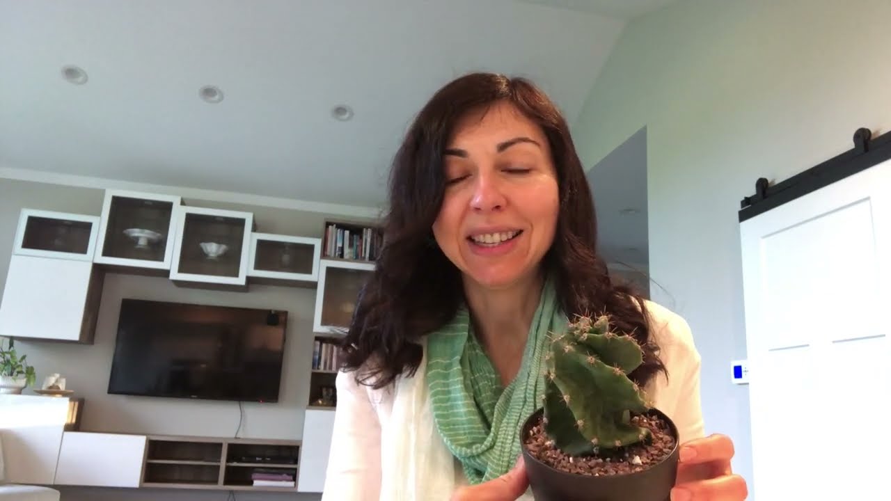 Problems With Cereus Forbesii Spiralis, Propagating Ruby Necklace (Othonna Capensis) & Plant Sales