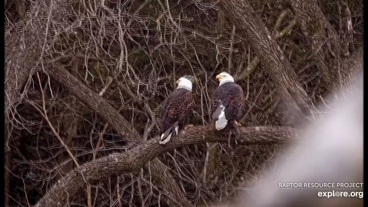 Mr. & Mrs.T- Trempealeau Eagle Nest❤️02/09/26