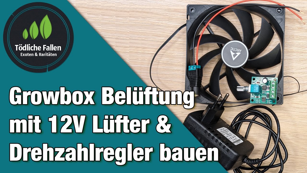 Growbox-Belüftung mit 12V Lüfter & Drehzahlregler bauen | Fleischfressende Pflanzen