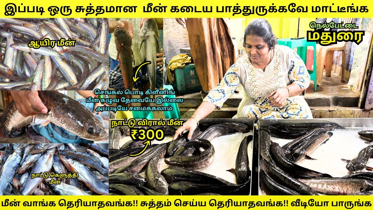 🦈🎏மதுரையில் குறைந்த விலையில் சுவையான மீன்களை வாங்குவது எப்படி❓ நெல்பேட்டை மீன் மார்க்கெட் | madurai