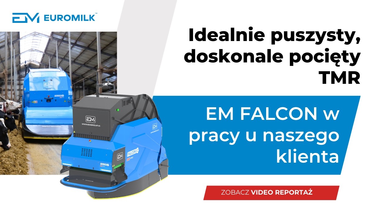 Idealnie puszysty, doskonale pocięty TMR | EM FALCON w pracy u naszego klienta |