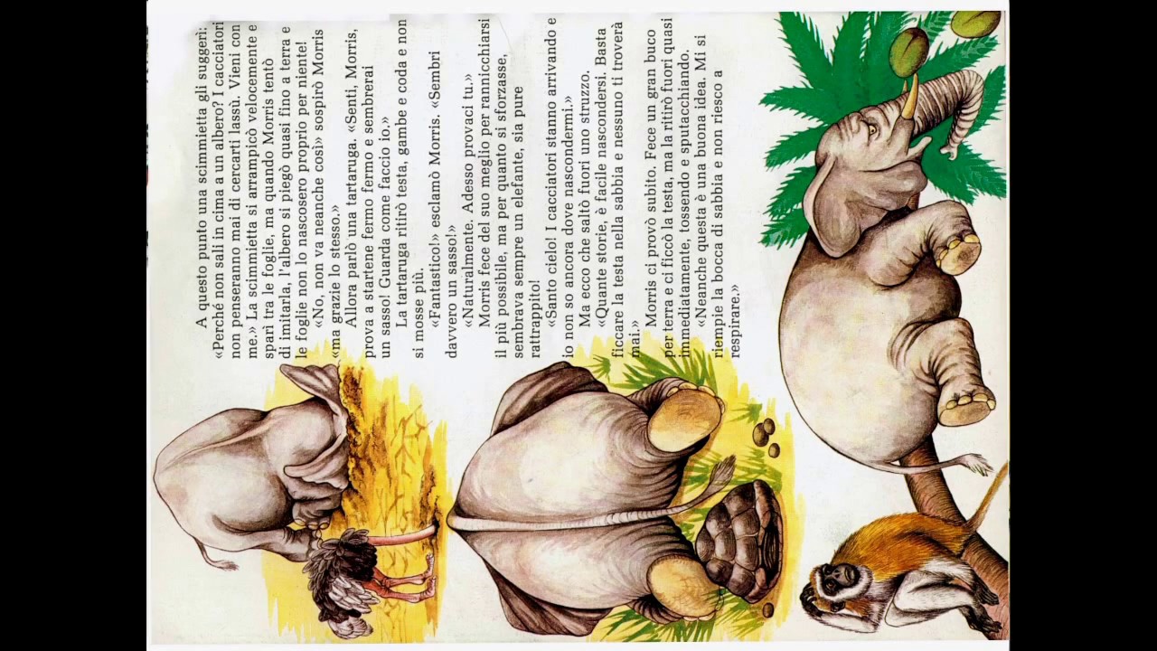 Dove può nascondersi un elefante?