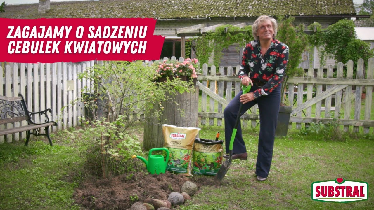 Zagajamy o sadzeniu cebulek kwiatowych | Artur Zagajewski & Substral