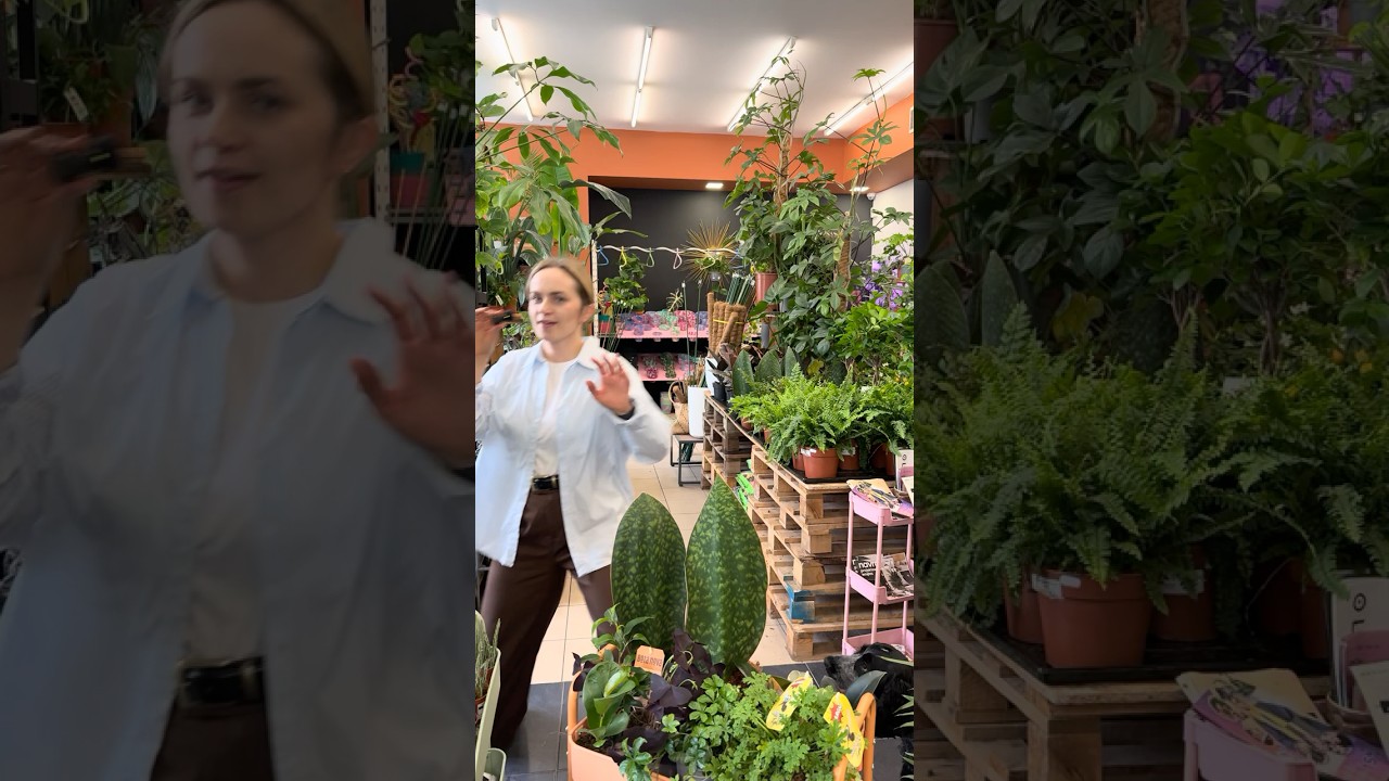 Hey, hey, grab a quick overview of our plant delivery. #plants #houseplants #new #rebirth #plants