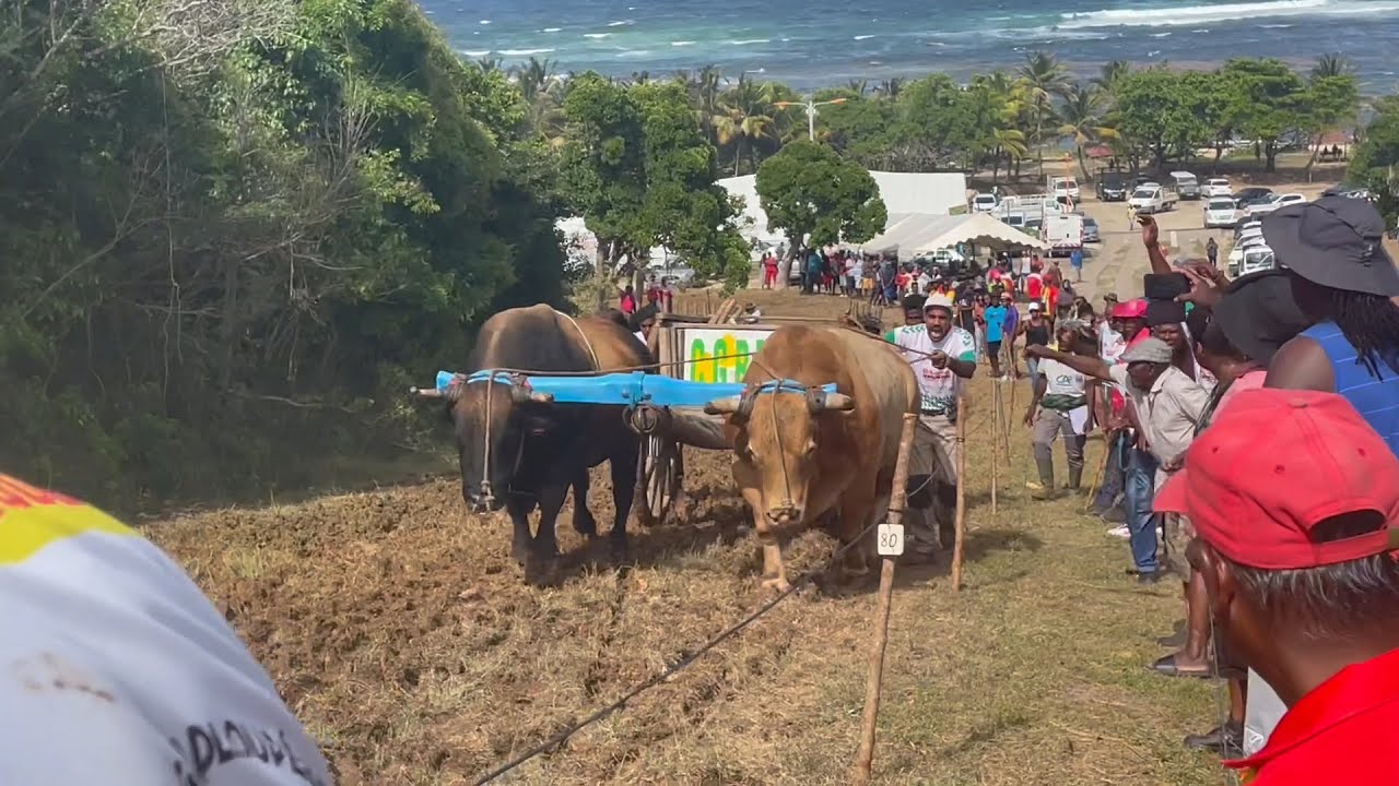 Grand Prix Ville de PETIT CANAL (Anse Maurice) 30 Juillet 2022 (Catégorie A)