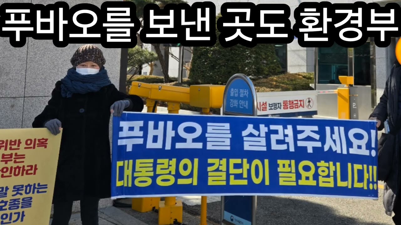 1/13  📢 푸바오 귀환 촉구 및 환경부 책임 이행 요구 시민행동🔥🔥 1월14일 수요일 세종시 환경부 앞 베푸 & C.K.FU 팀 연합 시위 #푸바오귀환