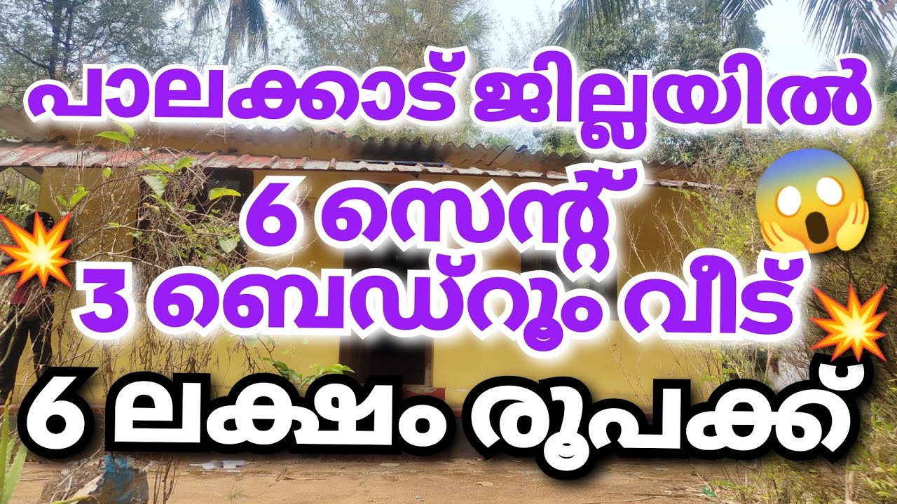 മൊത്തവില 6 ലക്ഷം 😱3 ബെഡ്‌റൂം വീട് 👌🏼#lowbudget #realestate #keralaproperties #@Homelandpalakkad 