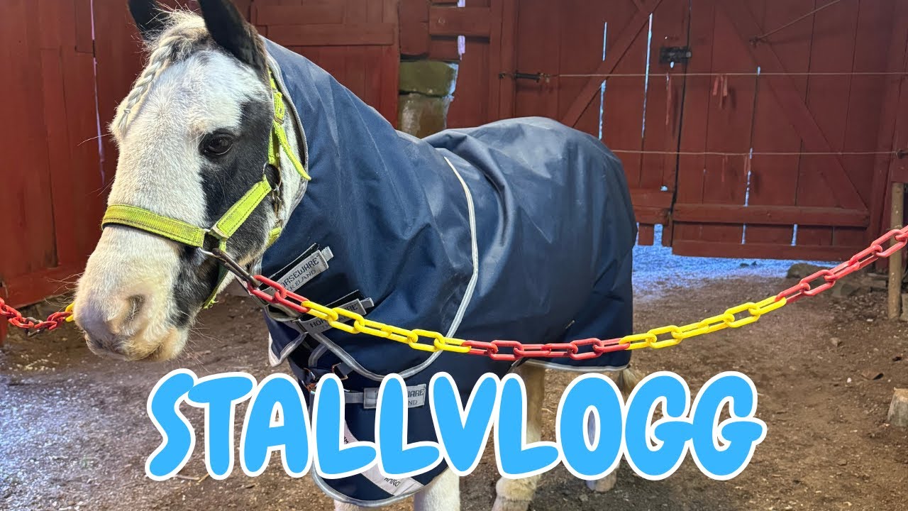 STALLVLOGG - Billie rider