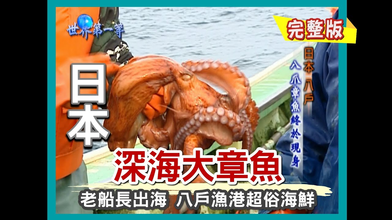 【日本】青森海鮮天堂 八戶漁港超俗特色海鮮（老船長出海戰深海大章魚／秋保芥末菜）｜《世界第一等》194集小馬完整版