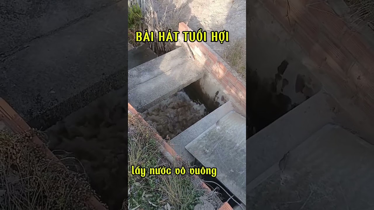 BÀI HÁT TUỔI HỢI. | NHẠC 12 CON GIÁP