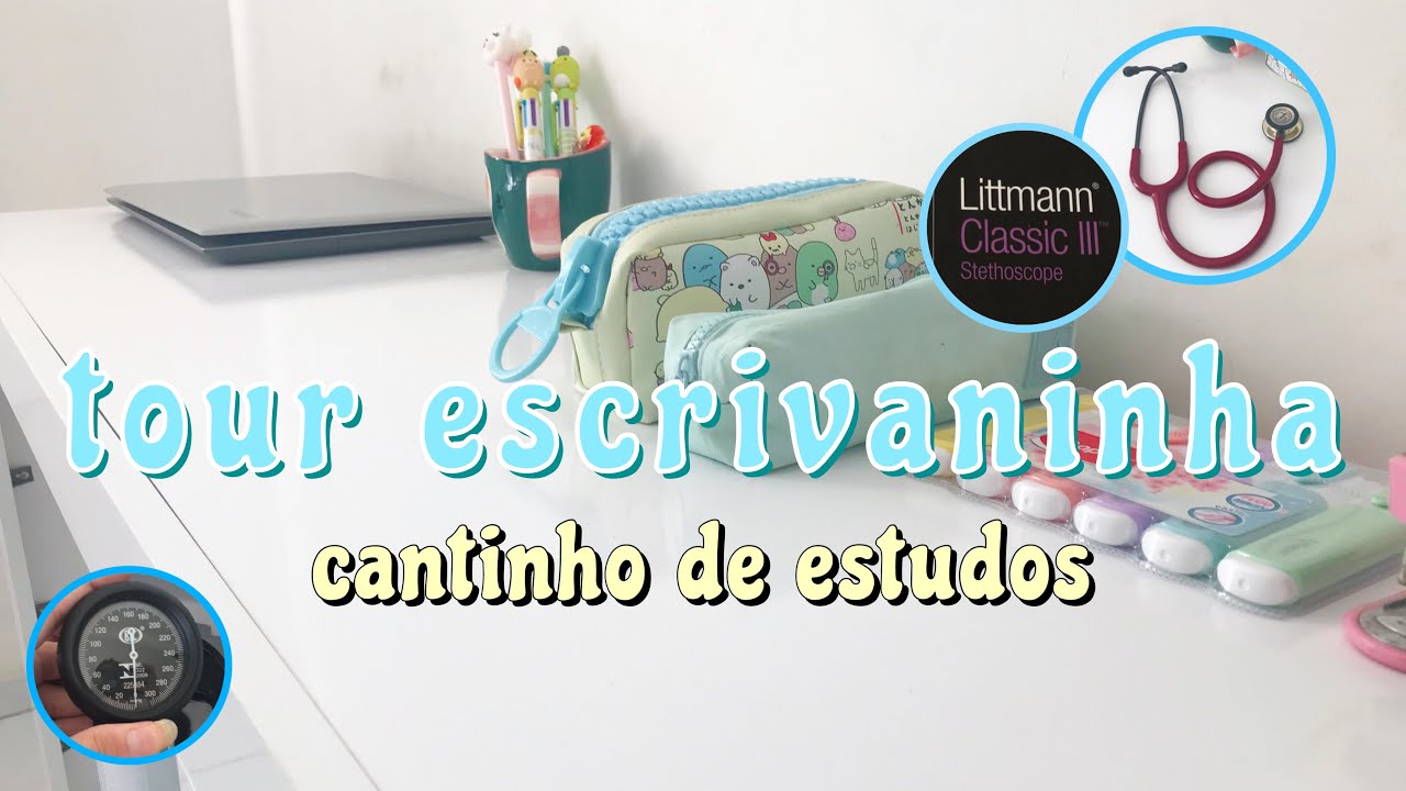 TOUR PELA MINHA ESCRIVANINHA!! - ESTUDANTE DE MEDICINA 👩🏻‍⚕️✨
