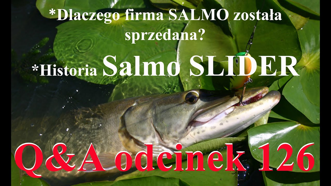 Q&A odcinek 126 - Dlaczego firma Salmo została sprzedana? Historia Salmo SLIDER.