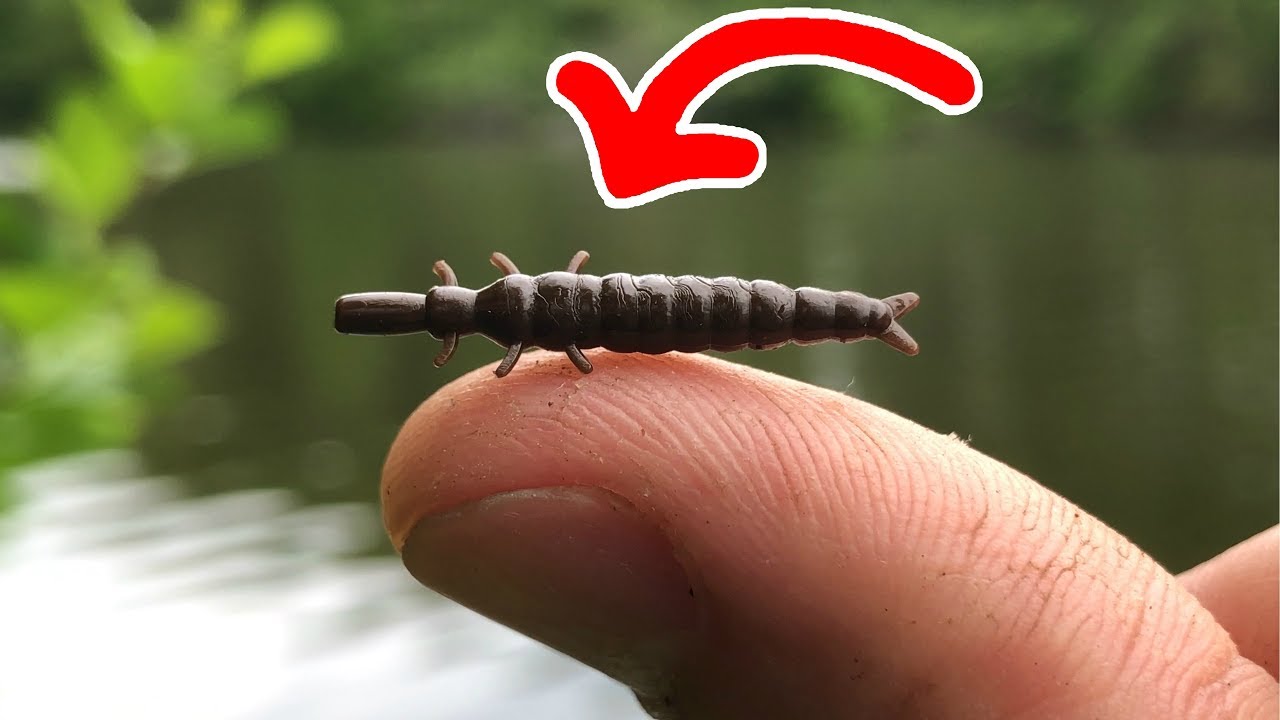 TINY Lure = NEW PB!!! (Giant Fish)