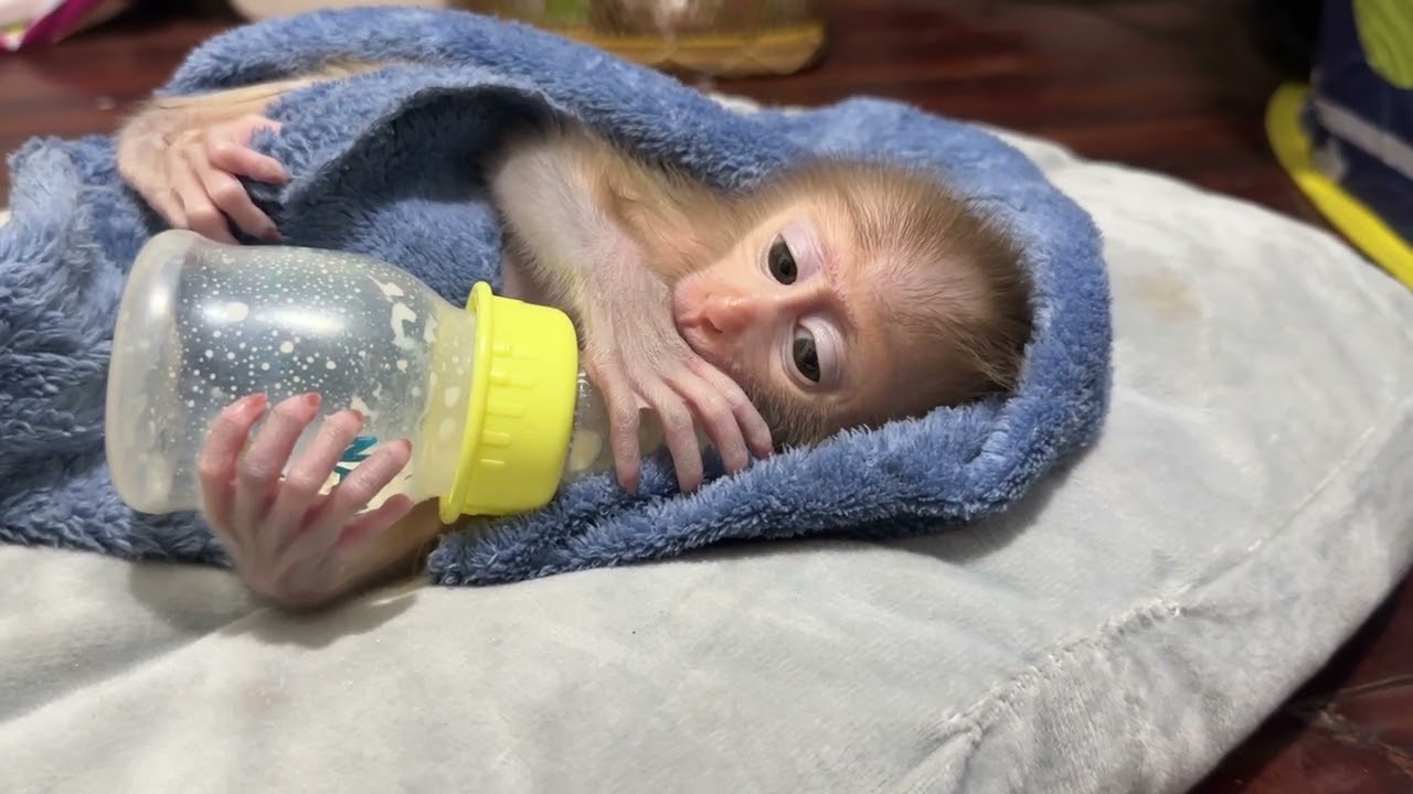 After he takes a shower 🚿 with mum drink milk and sleep 