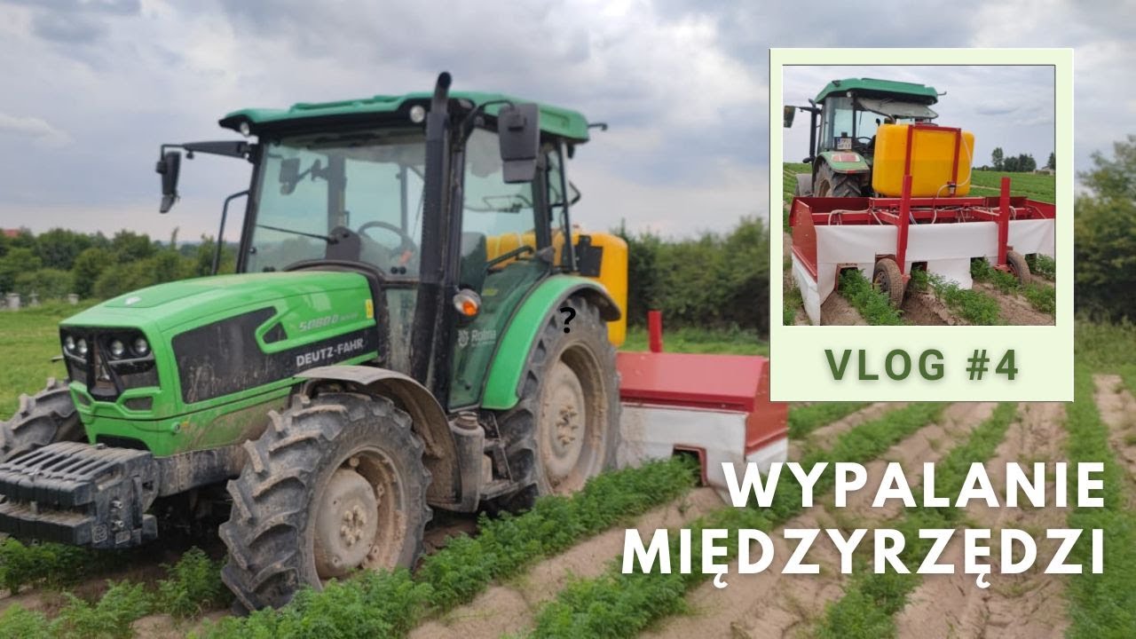 Wypalanie międzyrzędzi w marchewce [Vlog 4]