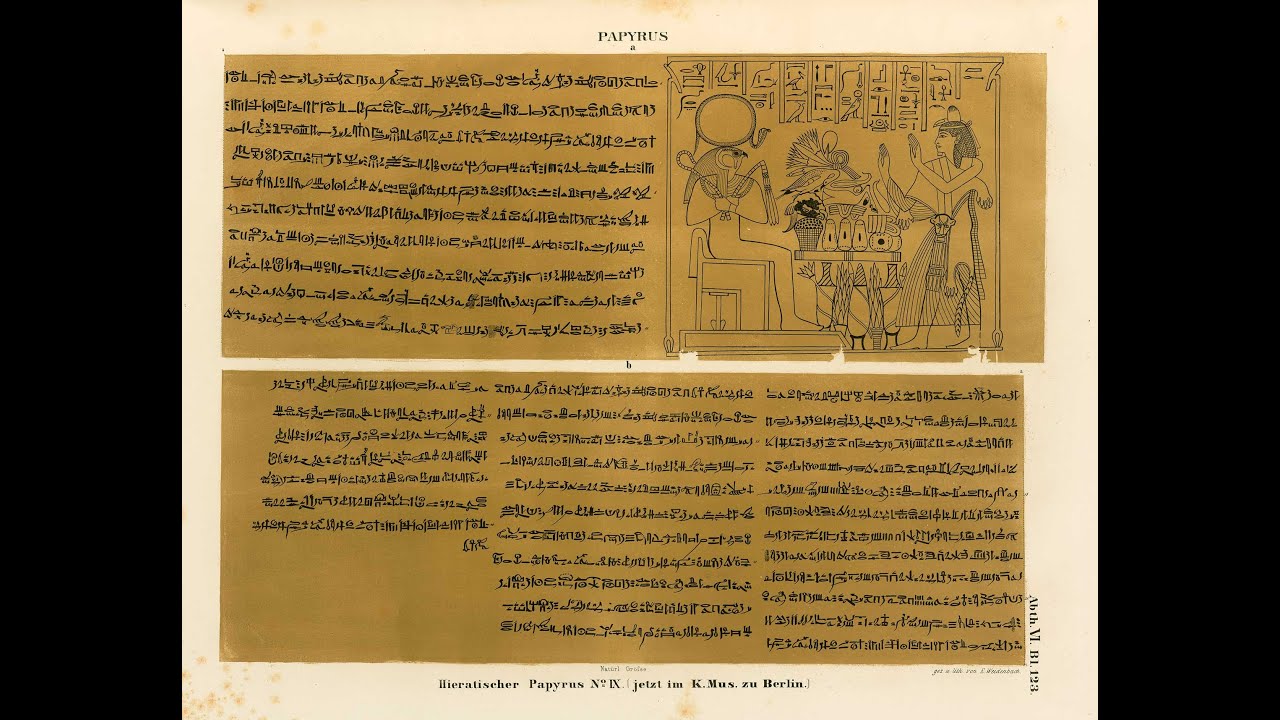 Ancient Egyptian, Wolof and Semitic languages