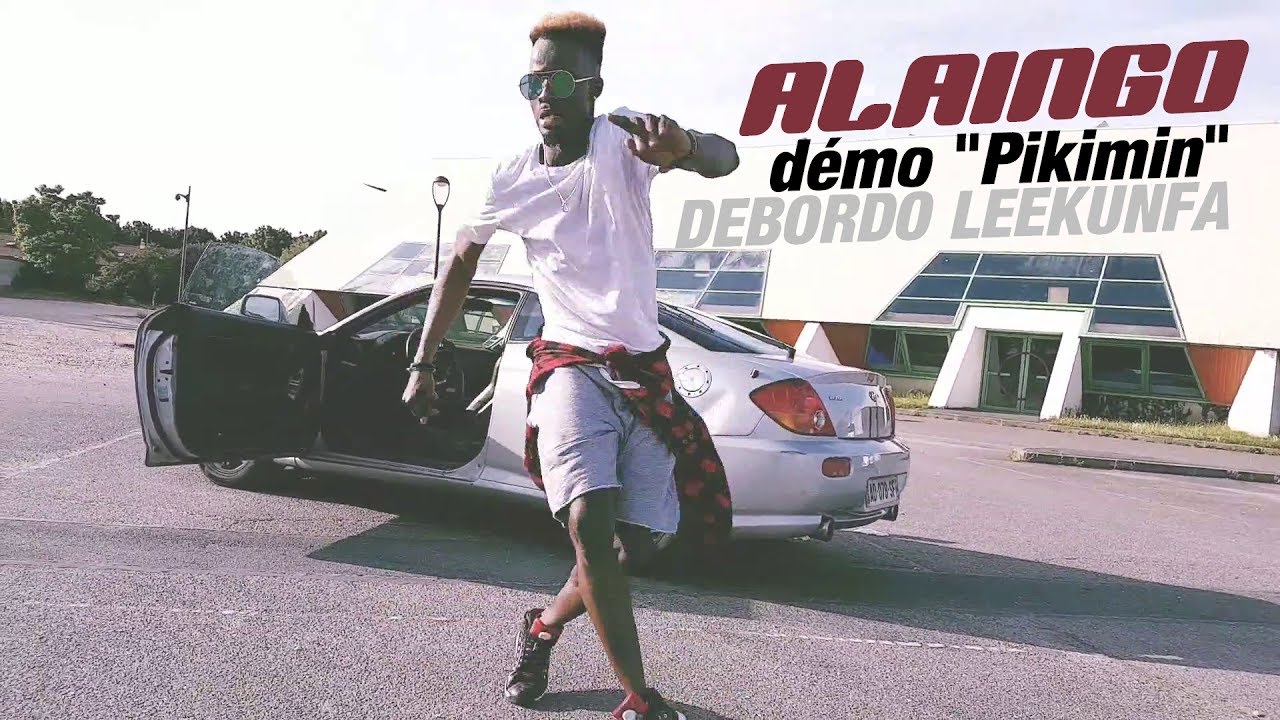 Debordo Leekunfa - Pikimin (démo officielle) by Alaingo