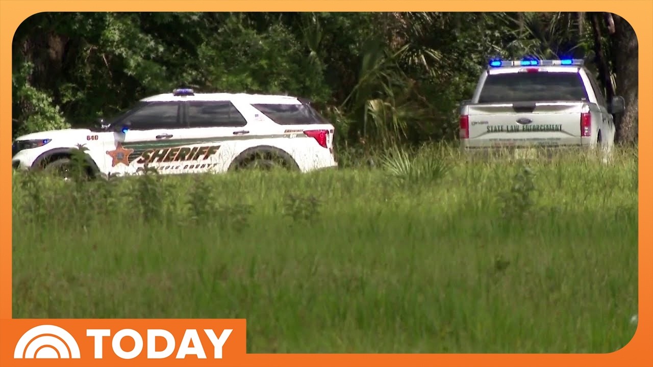 Florida Woman Killed After Alligator Attack in Shallow River
