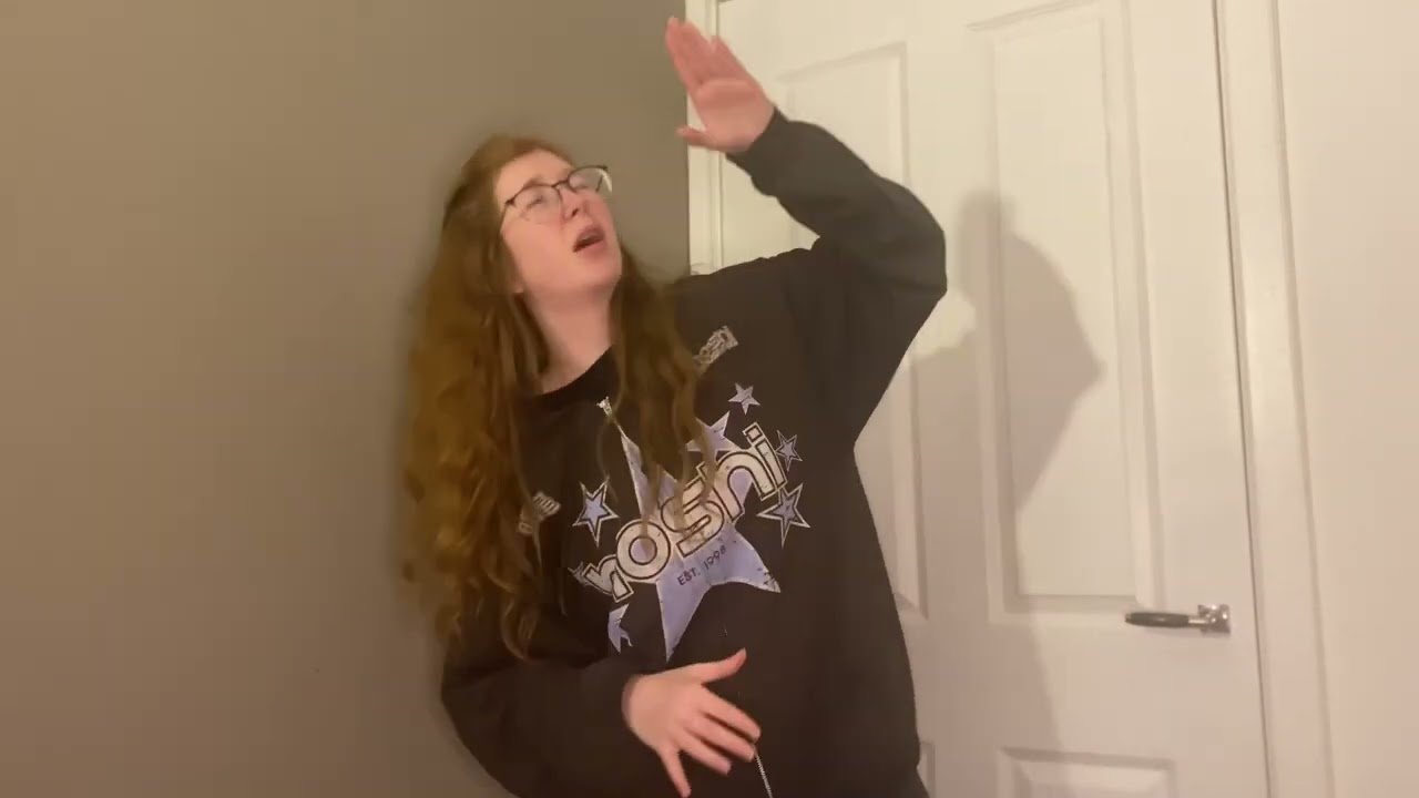 OneRepublic: Counting Stars (Sign language)