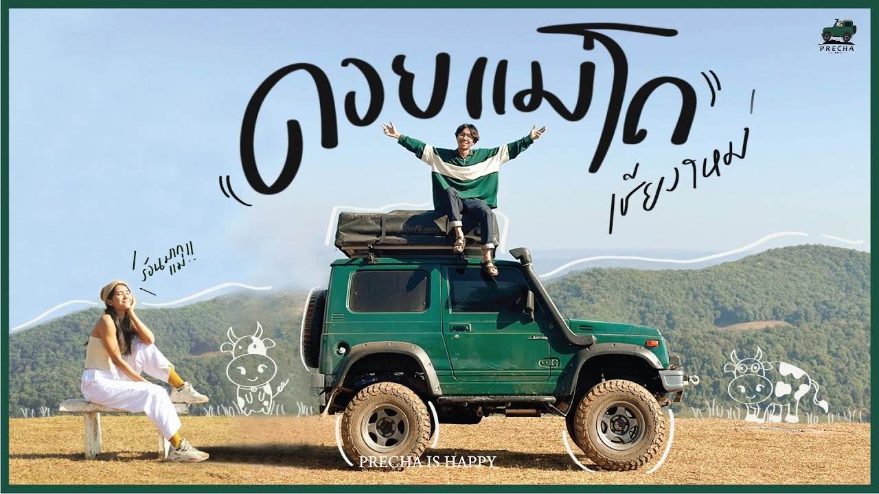 PRECHA IS HAPPY | ตามหาทุ่งหญ้าสีทอง ดอยแม่โถ เชียงใหม่  | One Day Trip