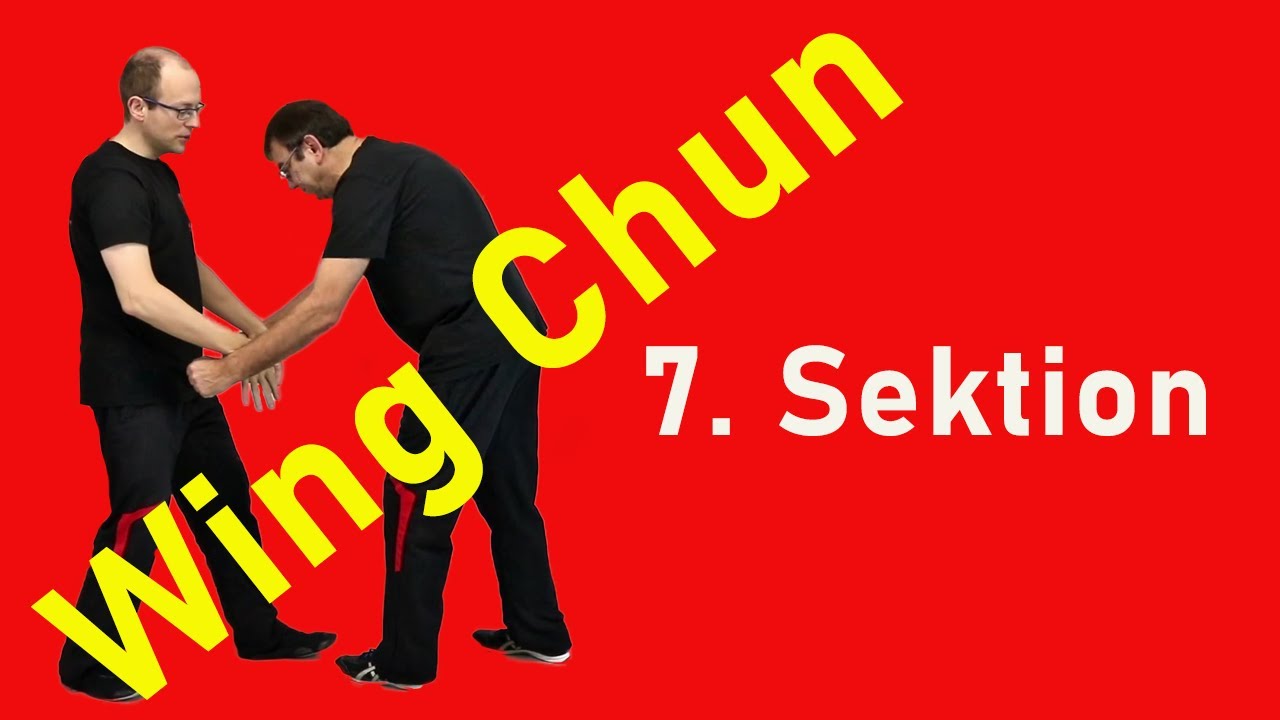 Die 7. Sektion Chi Sao im Wing Chun | Anwendungen & Drills