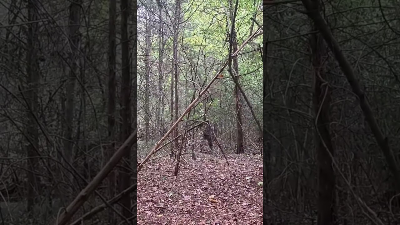 Sitka optifade subalpine camo TEST check out the full video. #sitka #hunting #camo #babifreitas
