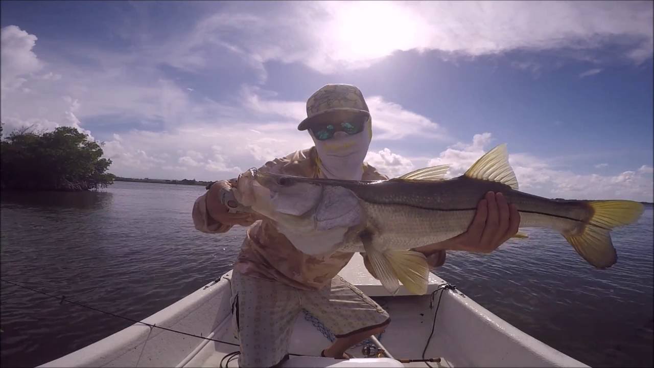 Reel'In'Tense Fish'In' - Salt Strong Entry - Snook Fight 8.1.16