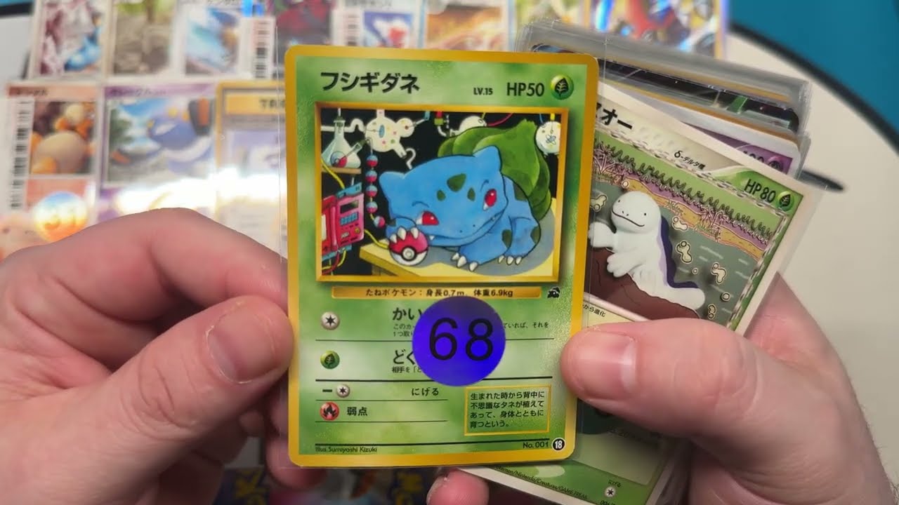 $850 USD in Pokémon Cards What sold? DAILY Sales Recap #5 Great White Buffalos are extremely cheap!