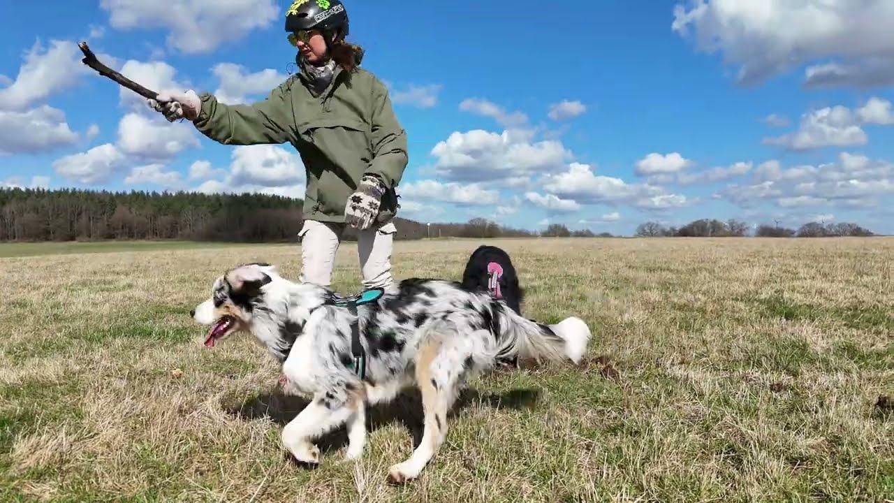 kanukassel-TV: Im WECHSEL der WELTEN - Waldbaden & RUMTOBEN mit bunten HUNDEN belebt uns täglich neu