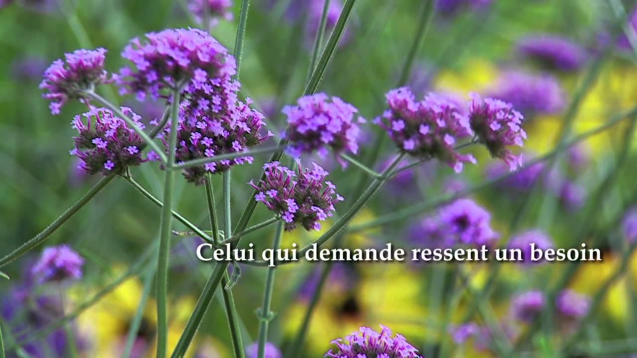 Le don de Soi