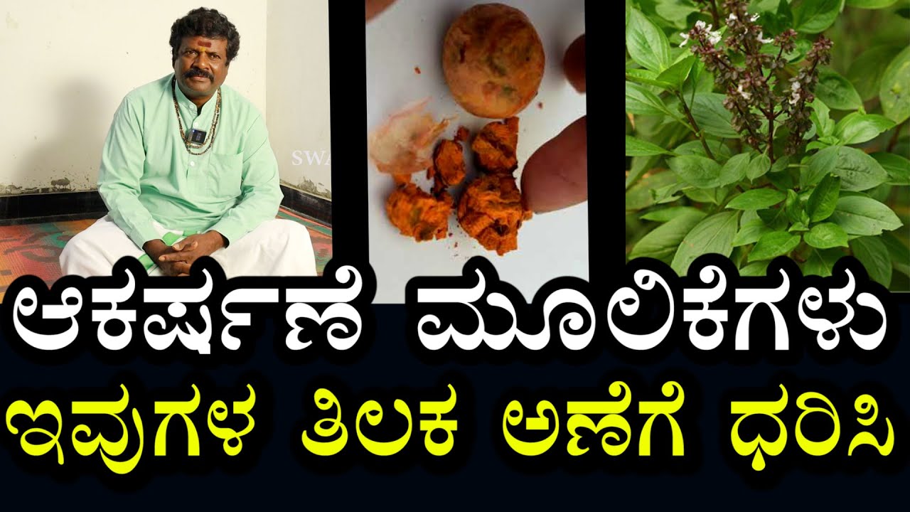 ಆಕರ್ಷಣೆ ಮಾಡುವ ಮೂಲಿಕೆಗಳು | ಈ ತಿಲಕವನ್ನು ಬಂಡಾರವಾಗಿ ಬಳಸಿದರೆ ಆಕರ್ಷಣೆ ಆಗುತ್ತೆ | Atractions #Goranjana