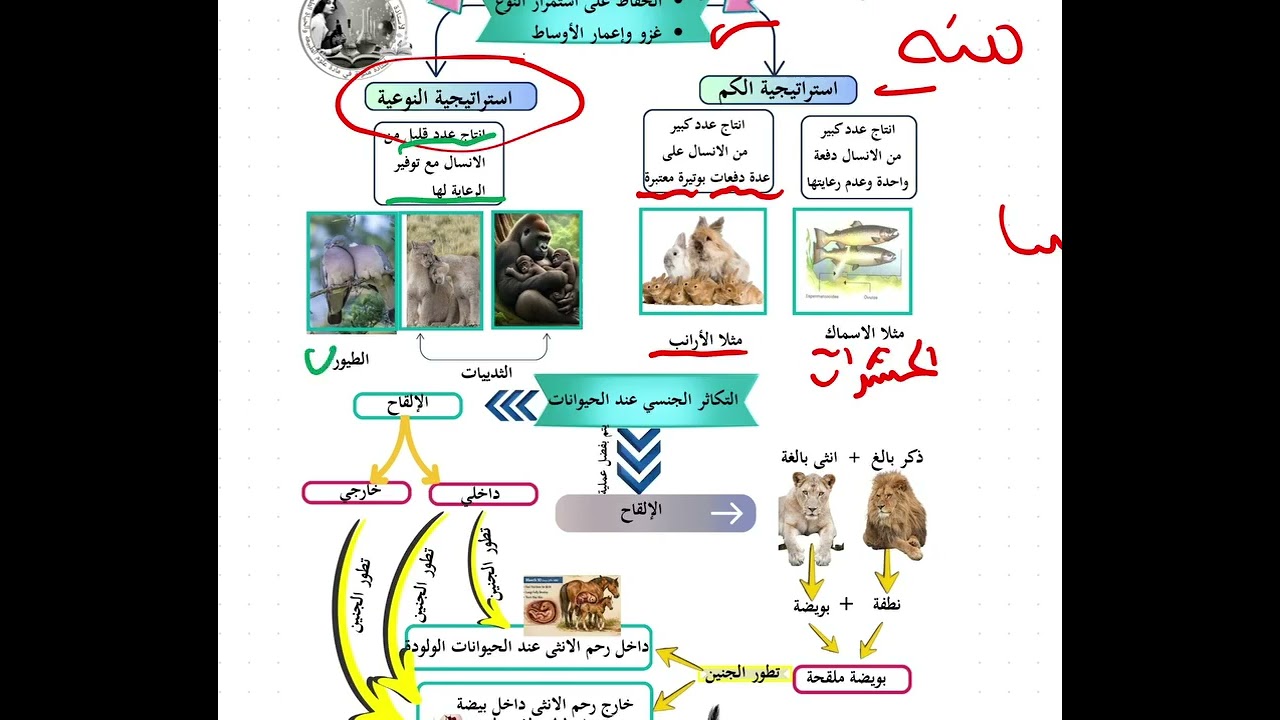 مراجعة النكاثر واعمار الاوساط للسنة الثانية متوسط 