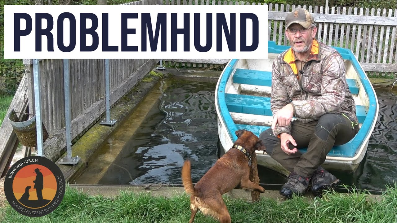 Gibt es überhaupt Problemhunde und wie laste ich sie aus? | Hundeschule U.B.