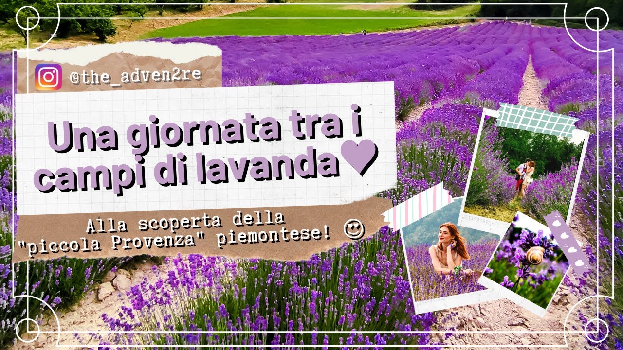 UNA GIORNATA TRA I CAMPI DI LAVANDA A SALE SAN GIOVANNI (CN) in 4K!