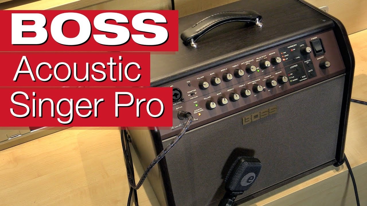 Boss Acoustic Singer Pro (Alles was du brauchst?)